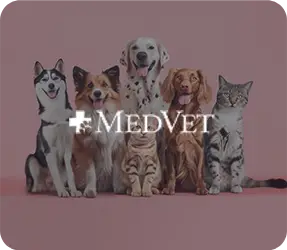 Medvet img